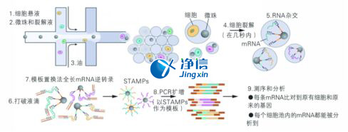 中國(guó)人自己的單細(xì)胞測(cè)序儀來(lái)了！,Drop-seq